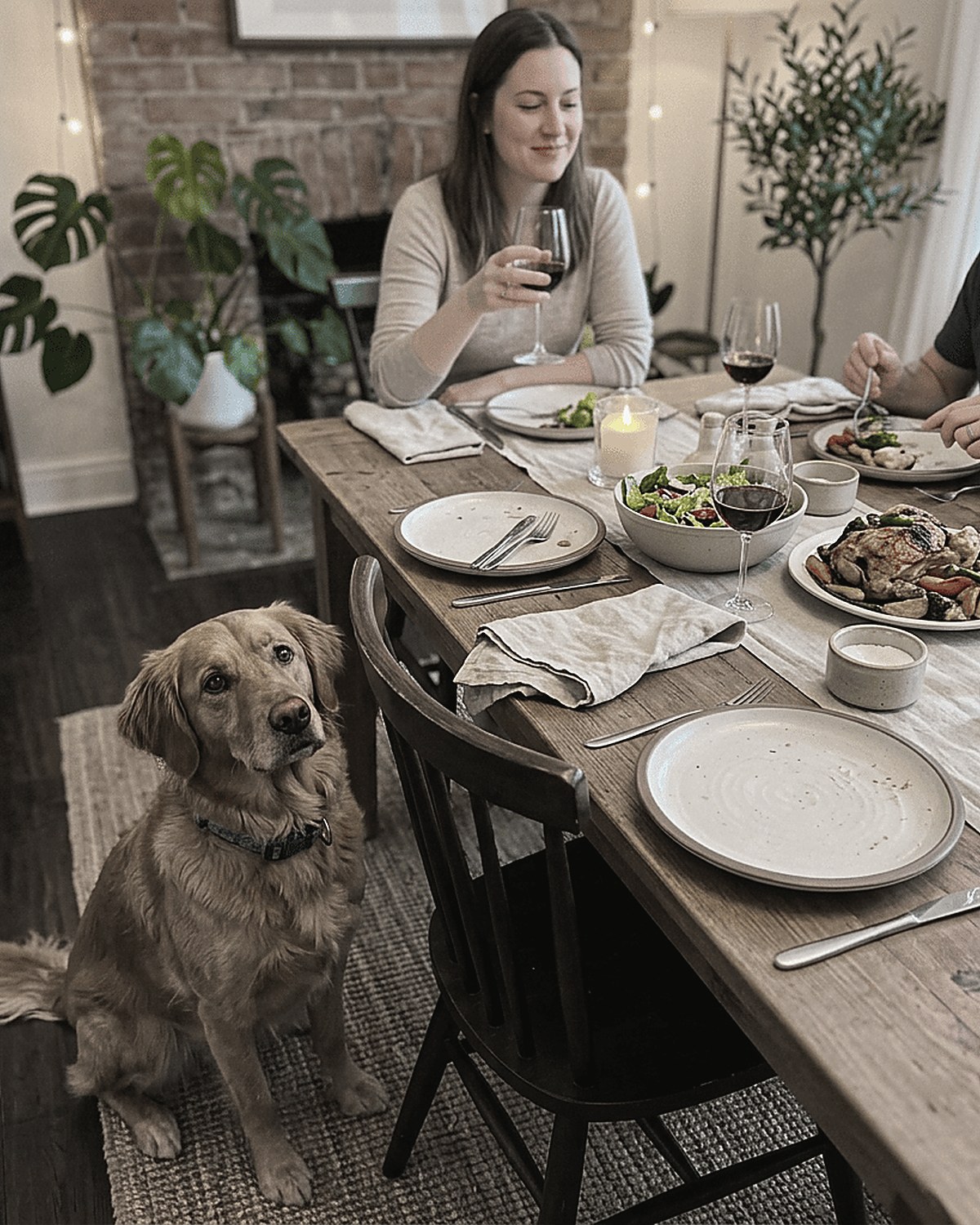 A golden retriever supervising dinner at the Doggo HQ table